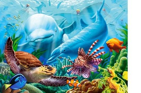 Castor 2000 ELEMENTÓW Życie Oceanu na Arena.pl