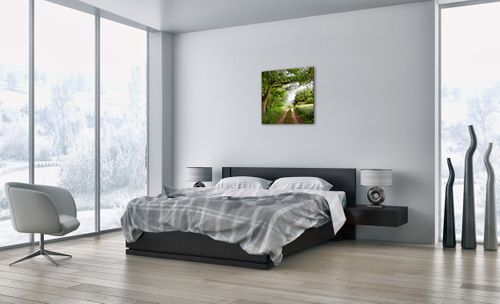 Obraz Na Płótnie - Las Pole Droga - 60X60 Cm - Ac60X60-2637 na Arena.pl