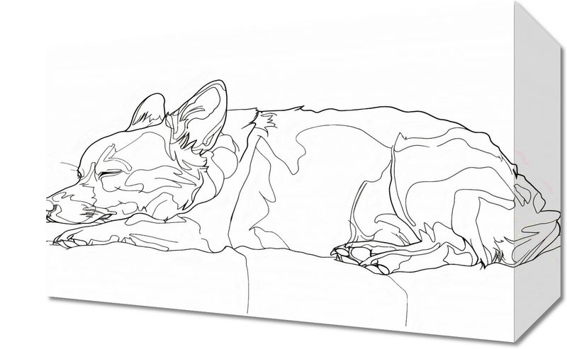 Obraz 30x20cm Śpiący Psiak zdjęcie 1