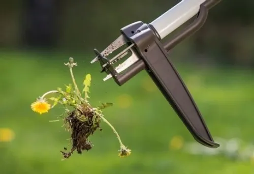 CELLFAST IDEAL WYRYWACZ CHWASTÓW 42-202 na Arena.pl