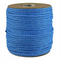 LINA POLIPROPYLENOWA KRĘCONA 10mm 110mb LINOTECH