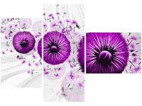 product-compare-58709735