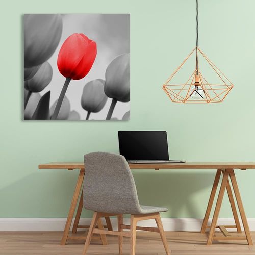 Deco Panel, Czerwony tulipan w szarości 90x90 na Arena.pl