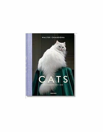 Walter Chandoha Cats na Arena.pl