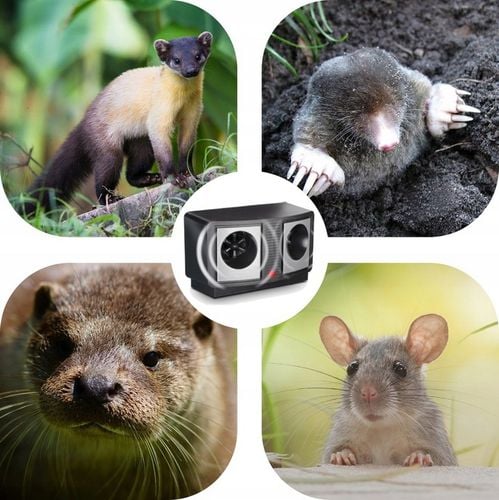 SKUTECZNY ODSTRASZACZ ULTRADŹWIĘKOWY GRYZONI MYSZY SZCZURÓW KUN na Arena.pl