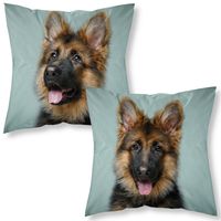 Poszewka Na Poduszkę 40X40 Piesek Mf 017