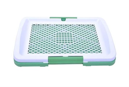 Kuweta dla psa na Arena.pl