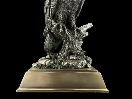 RZEŹBA ORZEŁ - VERONESE WU76779A4 na Arena.pl