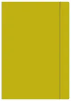 Teczka Z Gumką A4+ Jednokolorowa Żółta P10