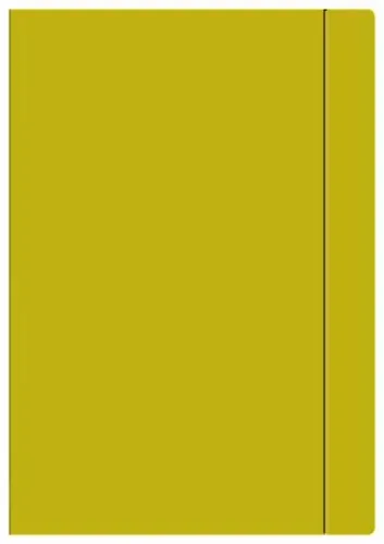 Teczka Z Gumką A4+ Jednokolorowa Żółta P10 na Arena.pl