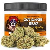 Susz konopny CBD | ORANGE BUD | 20 g
