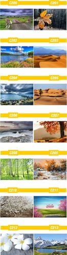 PLAKAT natura przyroda widoki lasy MORZE tanie! na Arena.pl