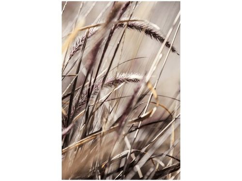 100 70CM OBRAZ PŁÓTNO BUSZUJĄCY TRAWIE NINA MATTHEWS PŁÓTNO RAMA na Arena.pl