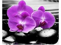 40X50CM OSTOJA PIĘKNA OBRAZ