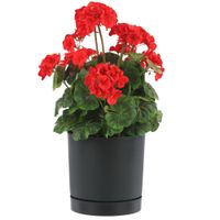 Doniczka z podstawką okrągła Ø23,9 cm matowa kolor antracytowy