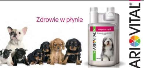 Ariovital Biotyna i Cynk 250ml na Arena.pl