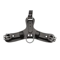 xr brands pup mask z regulowaną maską i przepuszczalnym ustnikiem