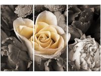 60 90CM OBRAZ 3 ELEM DELIKATNA RÓŻA DRUK PŁÓTNO RAMA