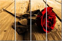 product-compare-58698375