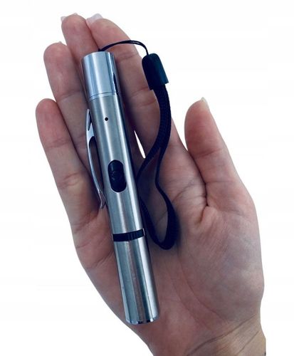 Laser Zabawka dla Kota Psa Wskaźnik Laserowy Ładowany USB - 5 WZORÓW na Arena.pl