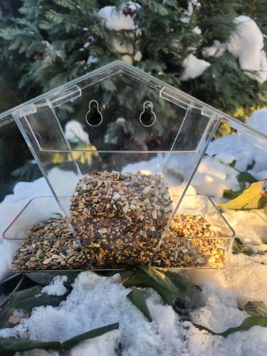 Karmnik dla ptaków na zimę na Arena.pl
