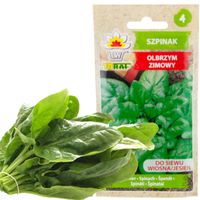 Szpinak Olbrzym Zimowy 10G Nasiona Szpinaku Olbrzymiego