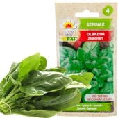 Szpinak Olbrzym Zimowy 10G Nasiona Szpinaku Olbrzymiego