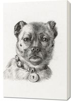 Obraz 60x90cm Głowa Psa z Obrożą, Jean Bernard Vintage do Salonu