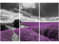 60 90CM OBRAZ 3 ELEM LAWENDA DRUK PŁÓTNO RAMA