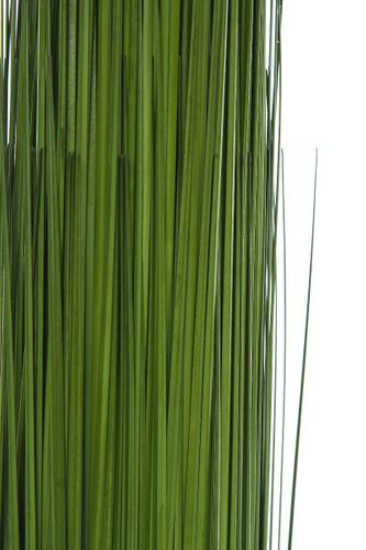 Trawa Long Banch 107 cm na Arena.pl