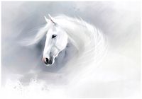 Fototapeta Winylowa Dla Dzieci Koń 254x184