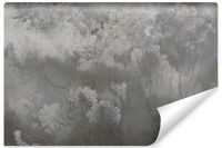 Fototapeta Do Salonu Sypialni BETON Mural Abstrakcja Kwiaty 450cm x 300cm