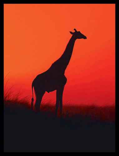 Plakat 30x40cm Żyrafa w Czerni na Arena.pl