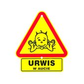 trójkąt na szybę samochodu urwis w aucie