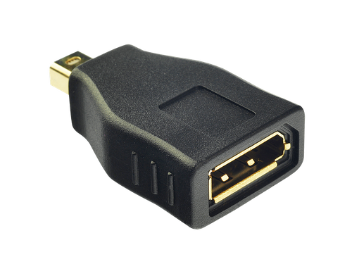 Lindy 41077 Adapter  DisplayPort > Mini DisplayPort na Arena.pl