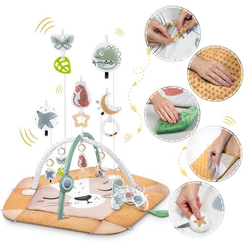 Mata edukacyjna interaktywna Lew Nukido na Arena.pl