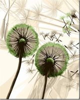 40CM 50CM OBRAZEK ŚCIENNY DMUCHAWCE ZIELENI DRUK PŁÓTNO OBRAZ