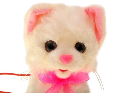 INTERAKTYWNY KOTEK na Arena.pl