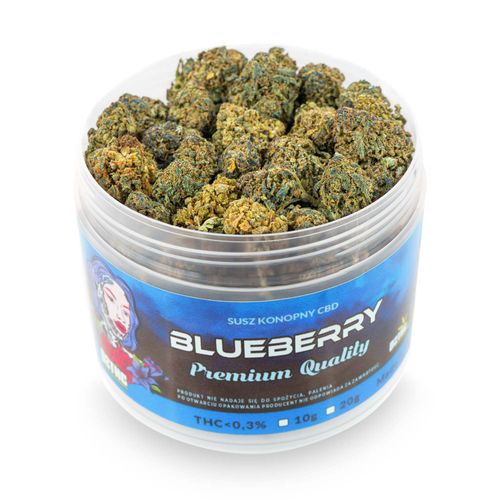 Susz konopny CBD | BLUEBERRY | 1000 g na Arena.pl