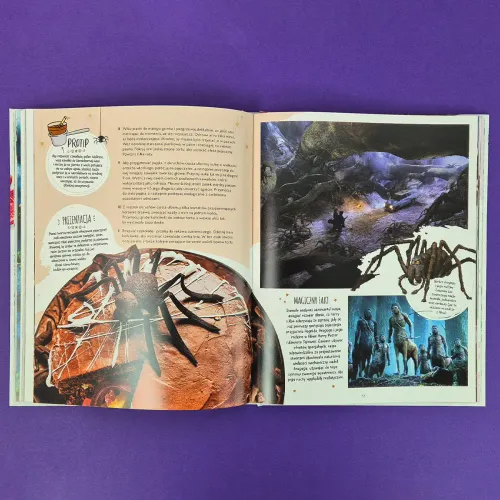 Harry Potter. Oficjalna księga magicznych wypieków na Arena.pl