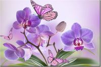 product-compare-58694505