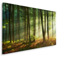 Obraz Do Salonu Jadalni Wschód Słońca Krajobraz Las Natura 100cm x 70cm