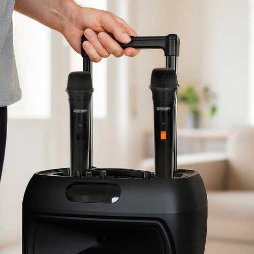 Głośnik z Mikrofonem Karaoke Bontempi Plastikowy 34 x 50 x 29 cm (2 Sztuk) na Arena.pl