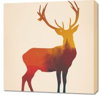 Obraz 70x70cm Światło Leśnego Monarchy