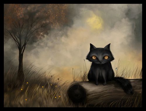 Plakat 40x30cm Czarny Kot na Arena.pl