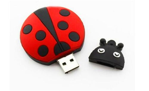 Pendrive  Biedronka Usb Flash Prezent Wysyłka 24H na Arena.pl