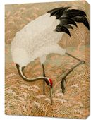 Obraz 50x70cm Sarus Crane, G.A. Audsley Japoński Vintage