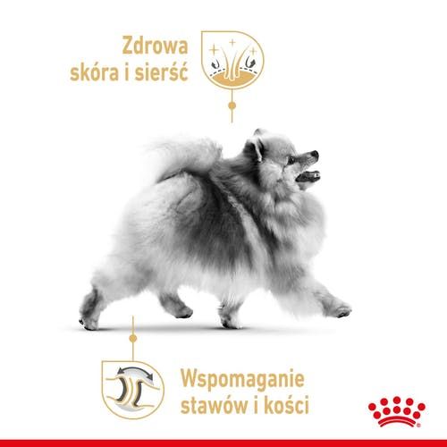 royal canin pomeranian 12x85g na Arena.pl