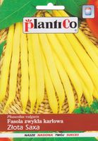 NASIONA Fasola Szparagowa Karłowata Złota Saxa 48g PLANTICO Żółta 407657