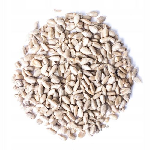 SŁONECZNIK ŁUSKANY KARMA DLA DZIKICH PTAKÓW GOŁĘBI PAPUG POKARM ZIMOWY 25KG na Arena.pl